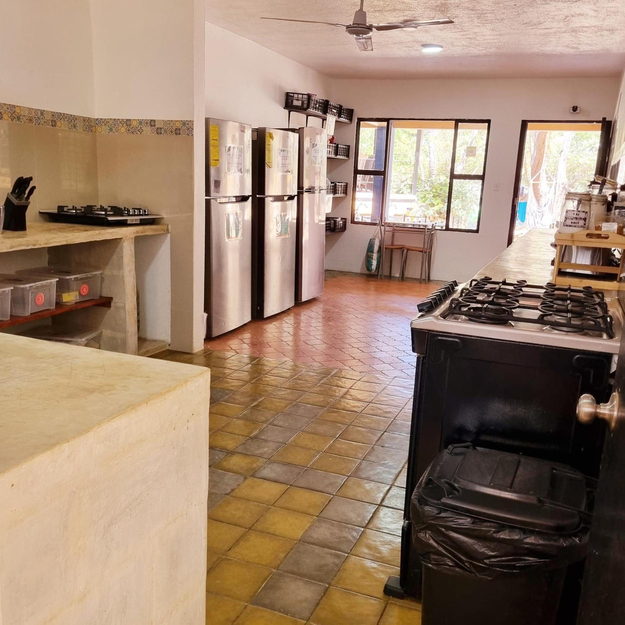 Casa Pura Vida Surf Hostel - Tamarindo Costa Rica ภายนอก รูปภาพ
